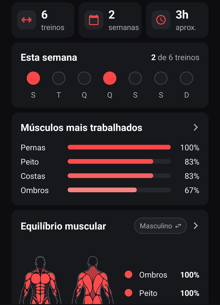 Progresso com treinos da semana, músculos mais trabalhados e equilíbrio muscular